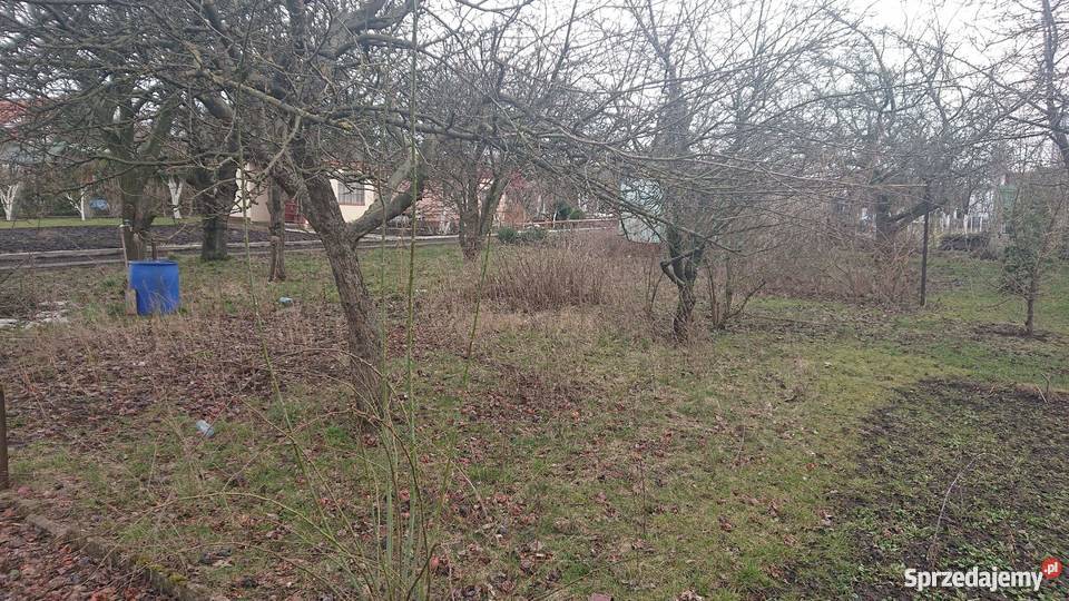 Działka ROD Inowrocław