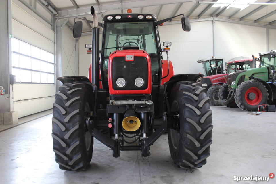 Massey Ferguson 7495 dyna vt Sokoły