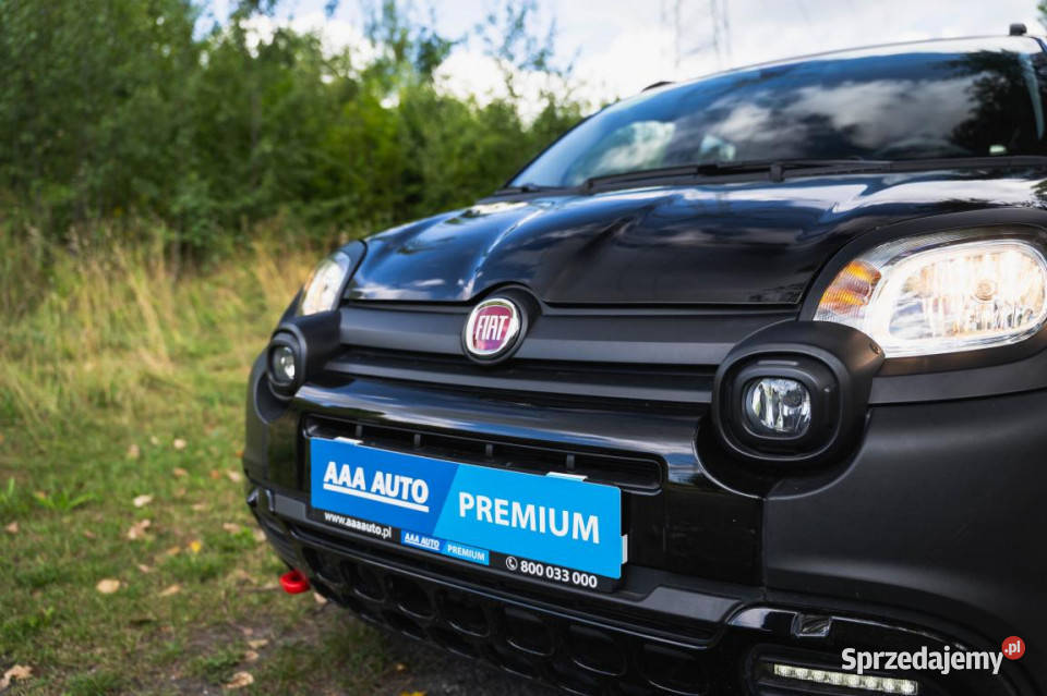 Fiat Panda 10 FireFly