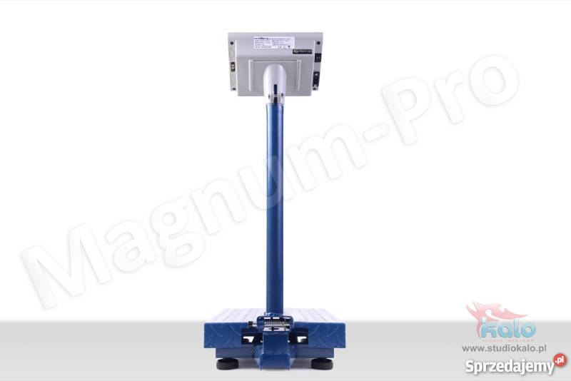 PRZEMYSŁOWA WAGA MAGAZYNOWA 100 SKŁADANA LICZĄCA Magazynowanie Poczesna