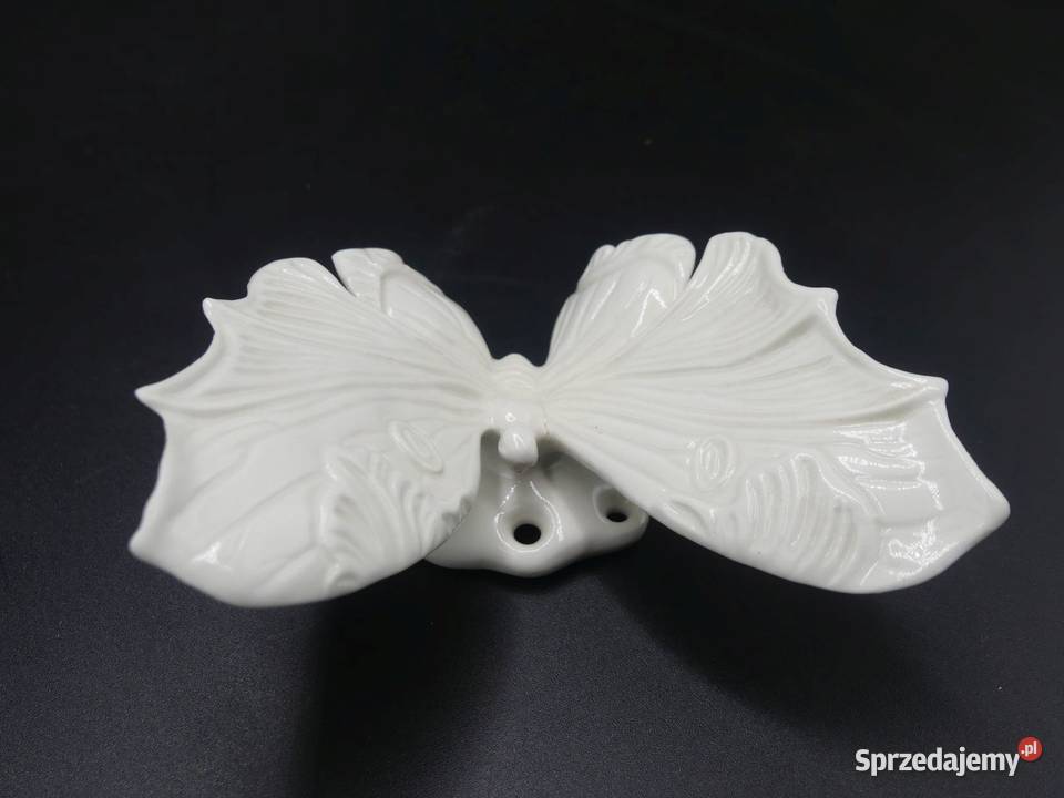 Piękny niespotykany biały motyl Karl Ens Poznań