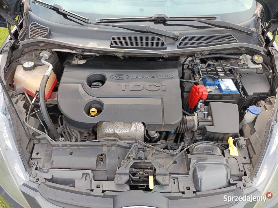 Ford Fiesta manualna kujawsko-pomorskie