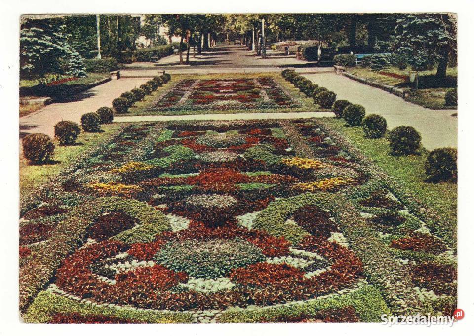 CIECHOCINEK DYWAN KWIATOWY 1 Krynki