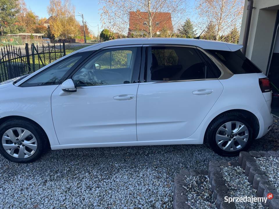 Biały C4 Picasso Intensive 16 blueHDI 120 PDC x2 1600cm3 opolskie Paczków