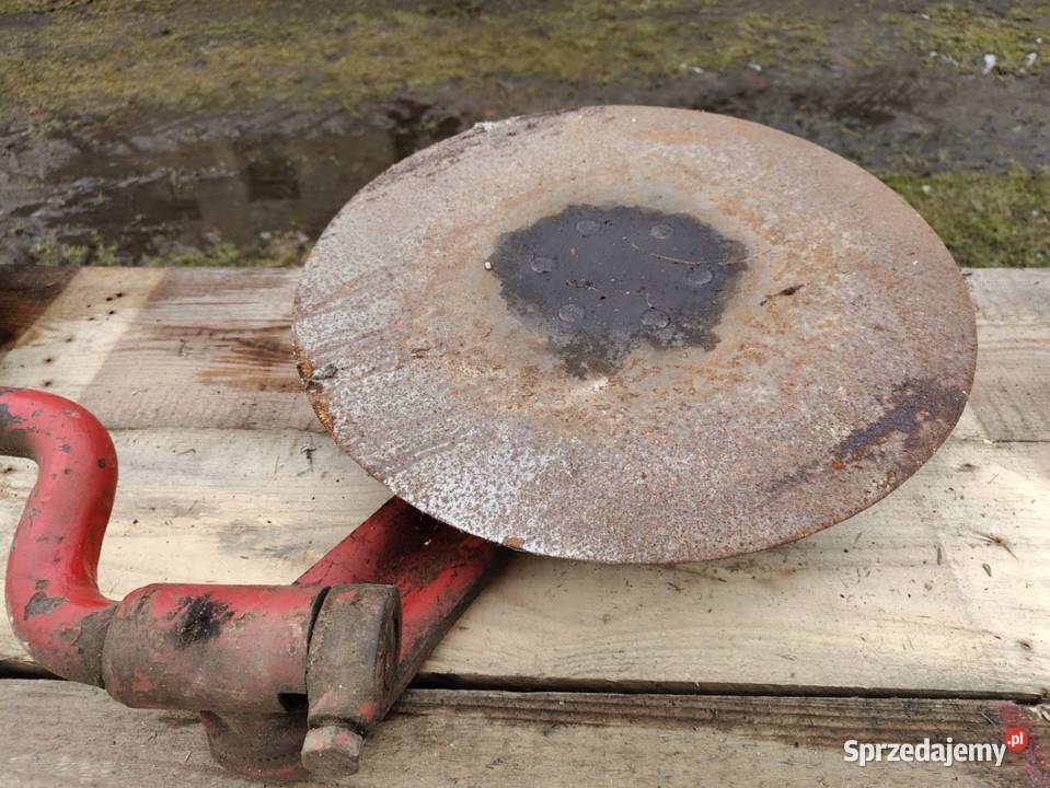 Krój tarczowy Pozostałe opolskie Grodków