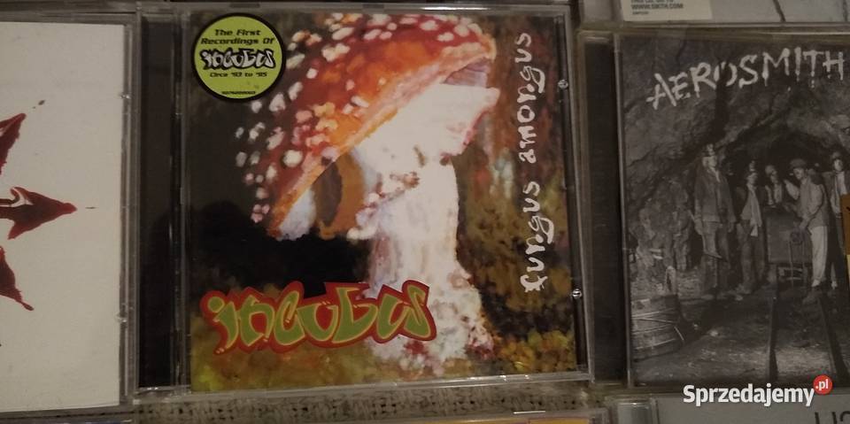 Groove metal CD American head Def Aerosmith U2 Bydgoszcz sprzedam