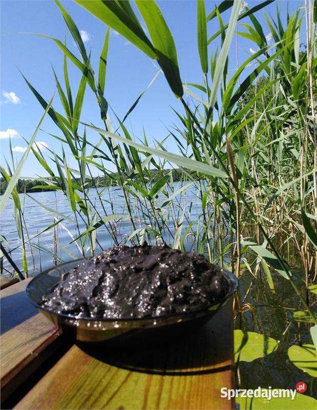 Nawóz ekologiczny Sapropel i łuska gryki 20 Nawozy i ŚOR