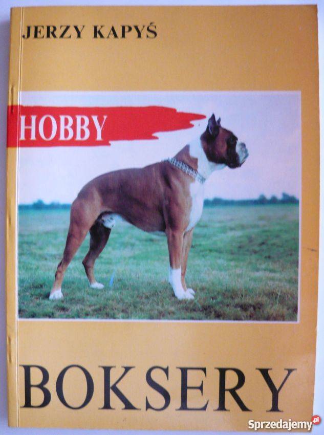 BOKSERY KAPYŚ JERZY Koszalin