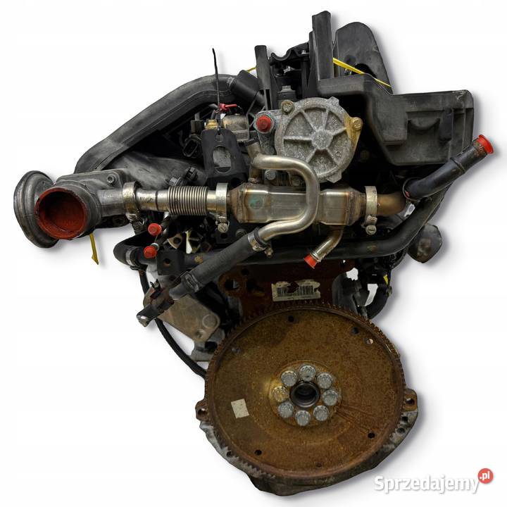 SILNIK 204D3 Land Rover Freelander 20 TD4 M47 osobowe lubelskie Chełm sprzedam