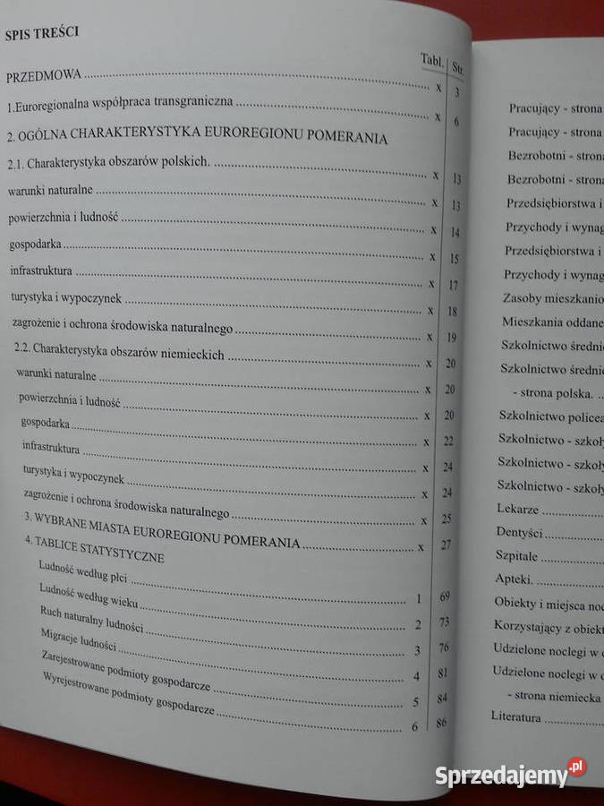 2980 Miasta W Euroregionie Pomerania Szczecin Antykwariat sprzedam