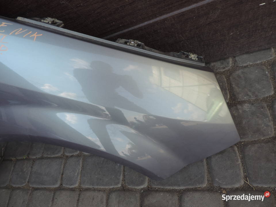 BŁOTNIK PRZEDNI PRAWY PRZEDNI RENAULT SCENIC 2 Nowy Sącz sprzedam