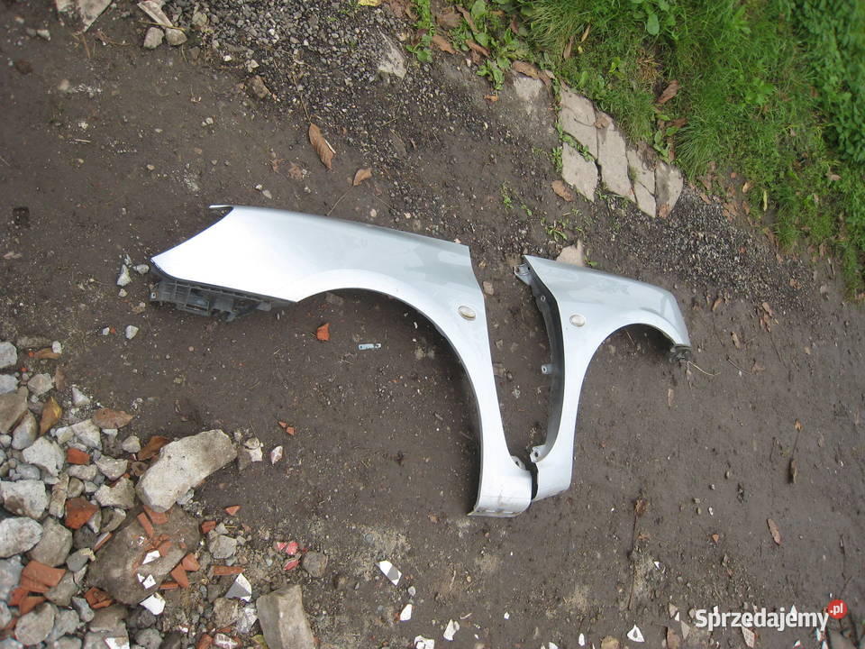 Błotnik przedni prawy lewy Peugeot 307 0105 osobowe małopolskie Kraków
