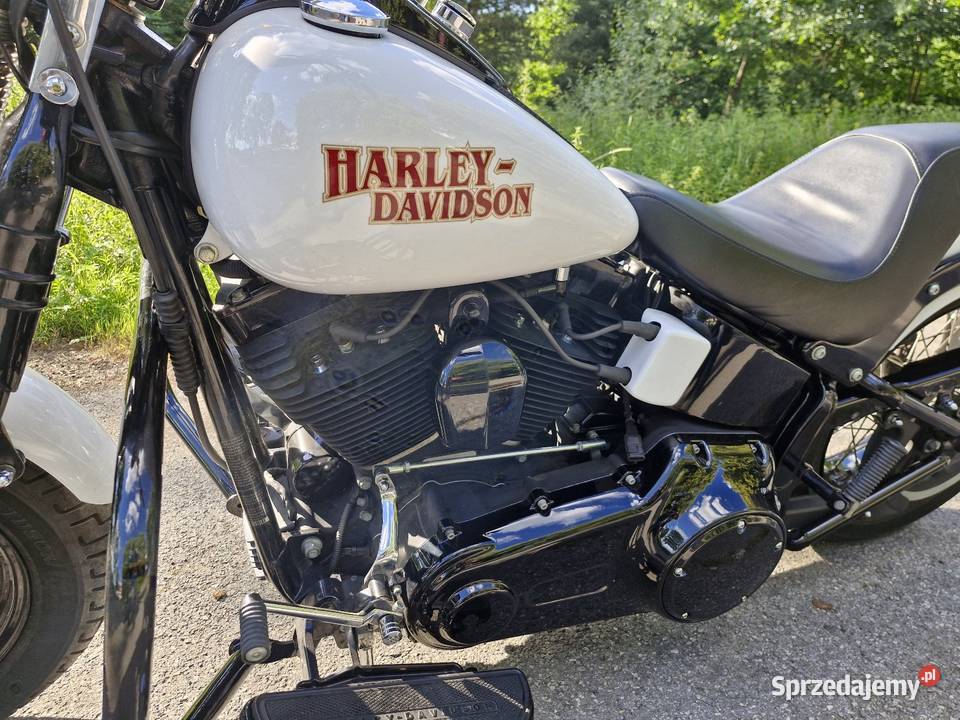 Harley Davidson Softail Cross Bones Myślenice