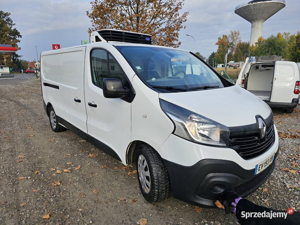 TRAFIC LONG L2H1 CHLODNIA MROZNIA CARRIER 230V immobilizer Renault Tarnobrzeg