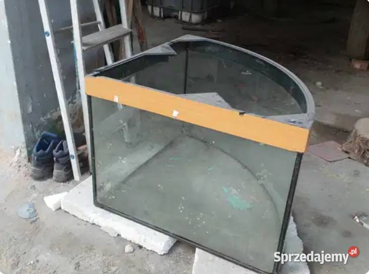 Narożne akwarium z szybą panoramiczną Dom i Ogród Bielawa