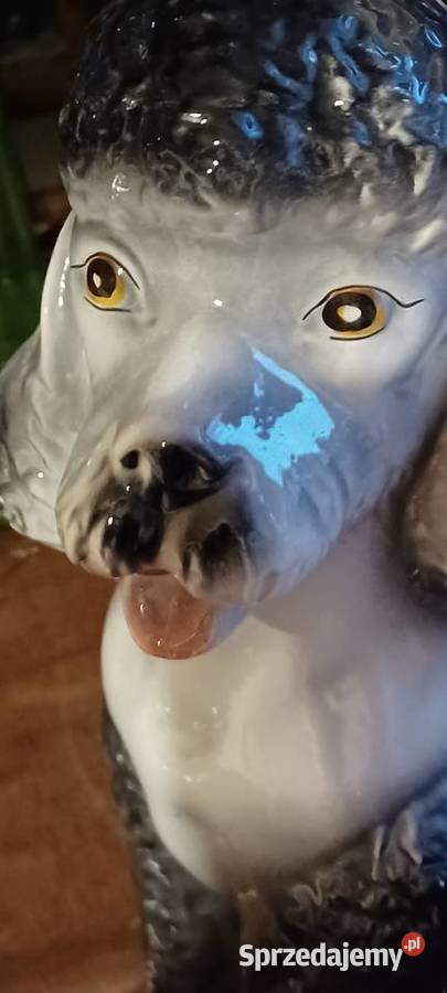 ceramika figura Pudla wysok 37 podstawa do ogona Poznań sprzedam