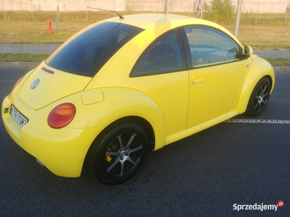 BEETLE Toruń sprzedam
