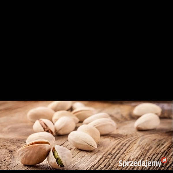 Dekor Coffe 2 Centro 20 x 50 Cerrol aktualne Białogard