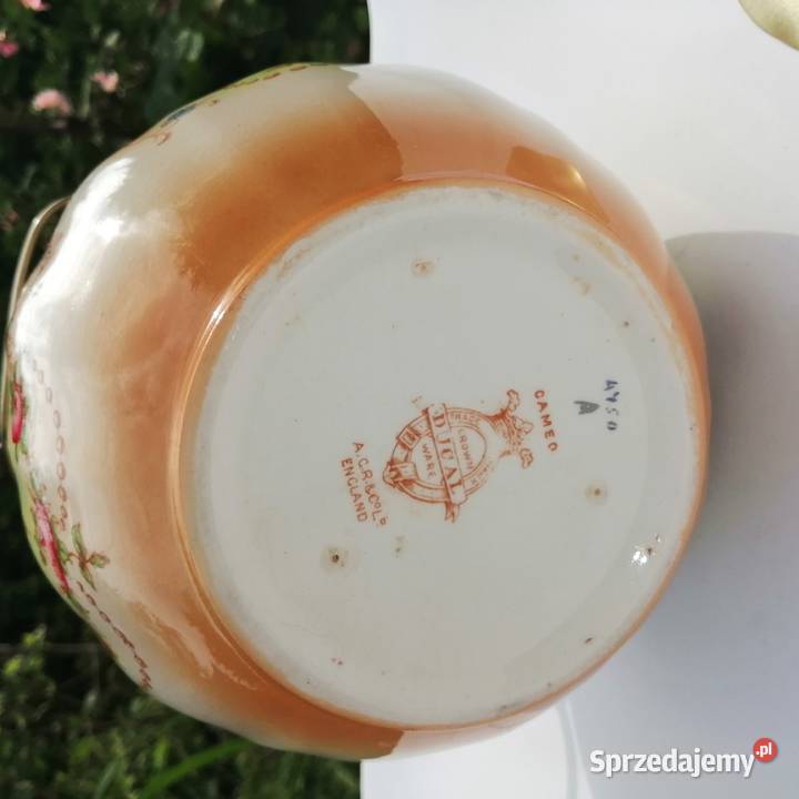 AntykPojemnik na ciastkaherbatniki Porcelana i szkło Szczytno