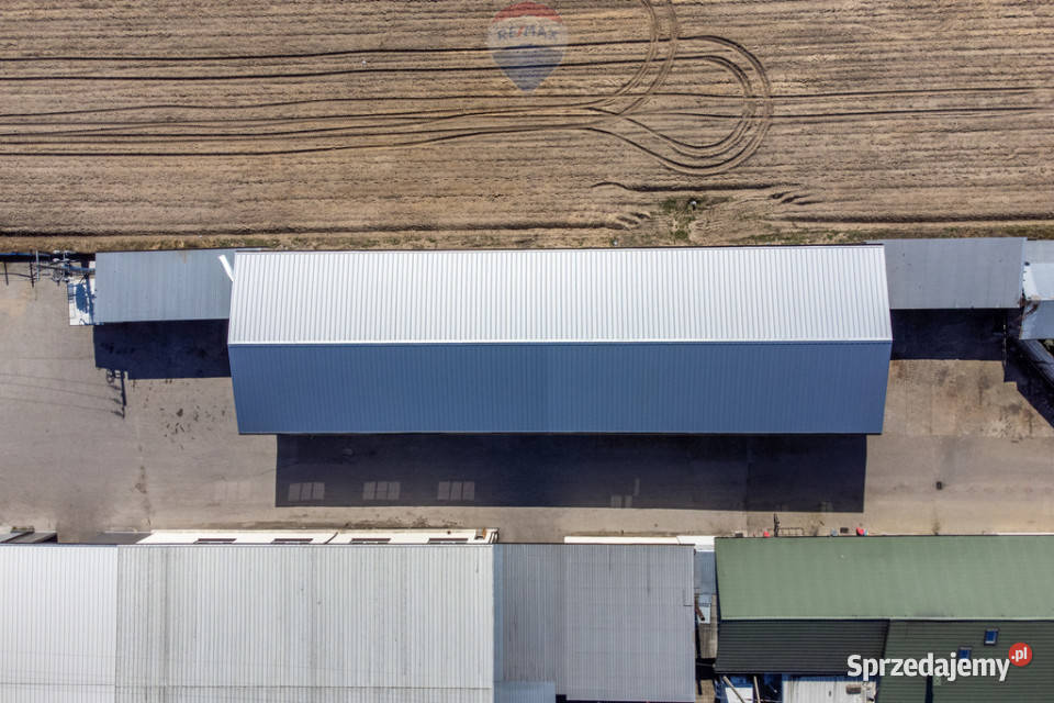 Hala magazynowa na wynajem sprzedam