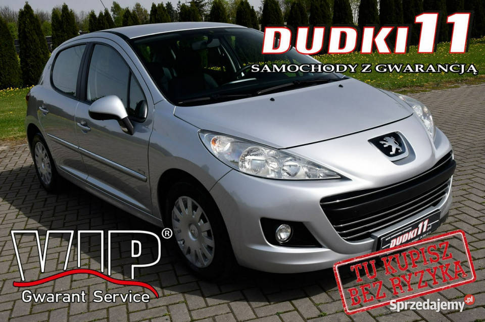 Peugeot 207 16hdi DUDKI11