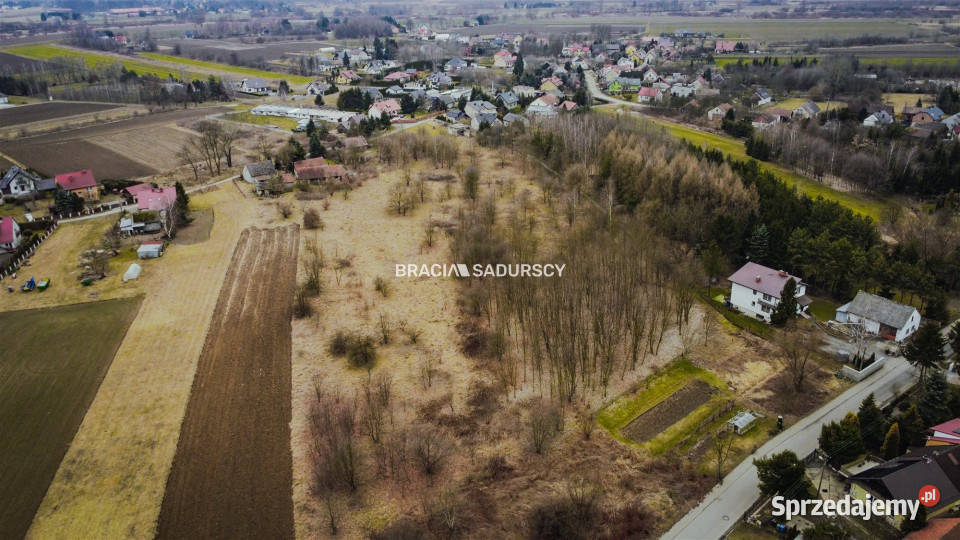 Grunt 7000m2 Wołowice gaz sprzedam