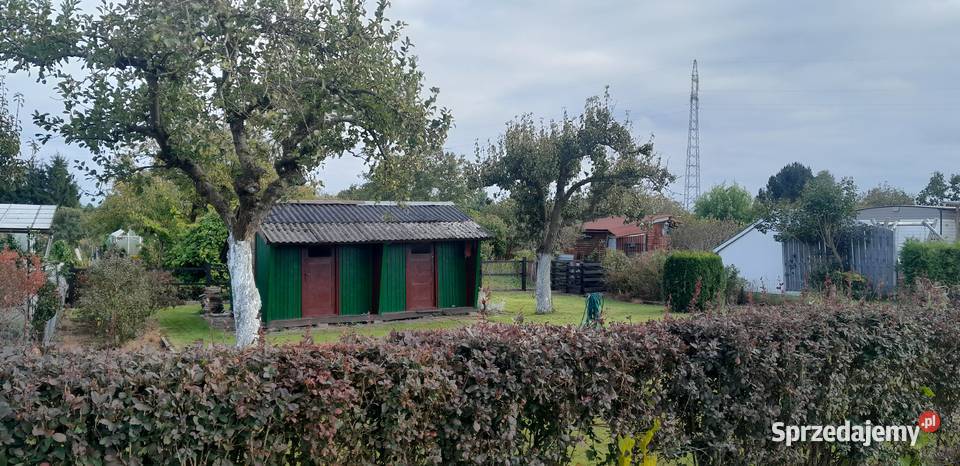 Działka ogrodowa ROD 300m2 Koszalin