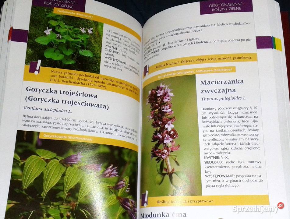 Atlas roślin Pascal Renata KrzyściakKosińska M Rok wydania 2010 Książki i Podręczniki sprzedam
