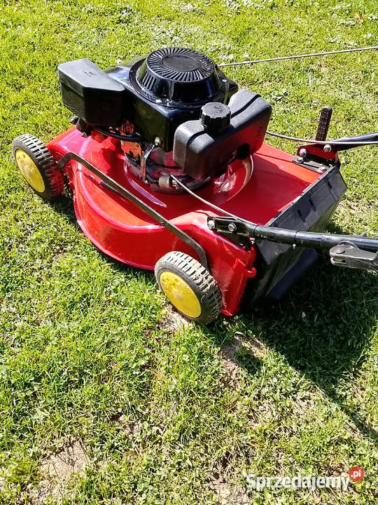 Kosiarka spalinowa Jasło