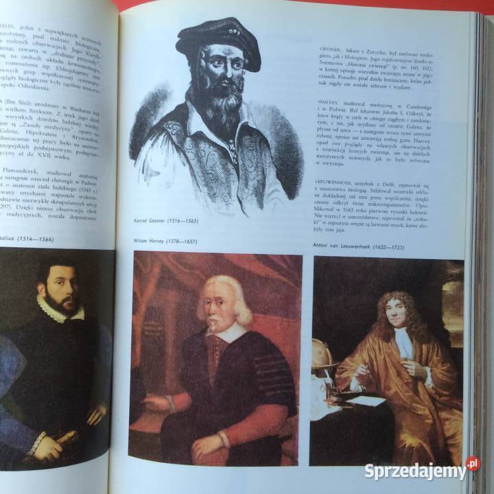 2582 Encyklopedia Larousse Szczecin