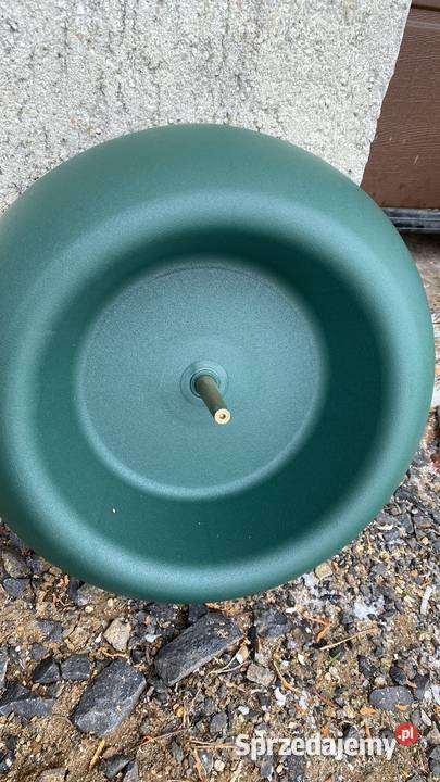 Jodła kaukaska Choinki Leszno Duży wybór Niskie Klonówiec