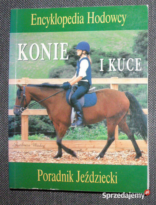 Konie i kuce Poradnik jeździecki kujawsko-pomorskie Bądkowo