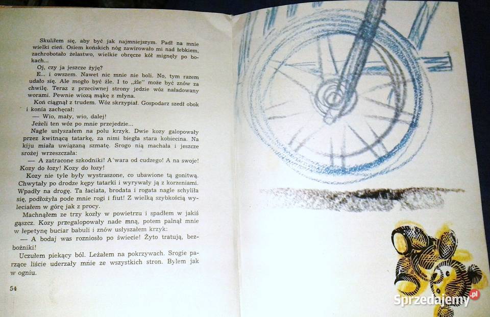 Pamiętnik Czarnego Noska Janina Porazińska Adam