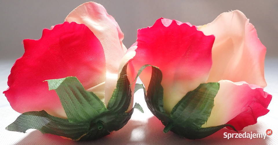 Róże rozwinięte różne kolory 1 śred 11 LA641 śląskie