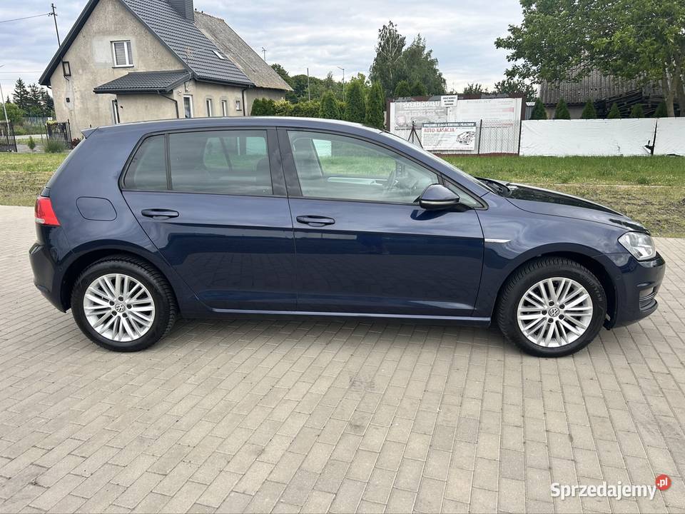 Volkswagen Golf VII 4/5 Golf Krośniewice