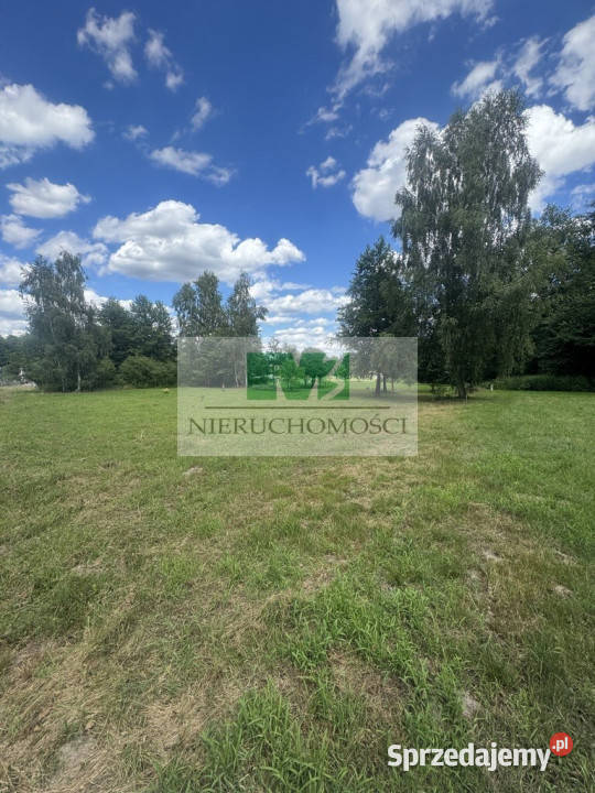 NA SPRZEDAŻ DZIAŁKA W OTOCZENIU LASU W JELNEJ 42m Jelna