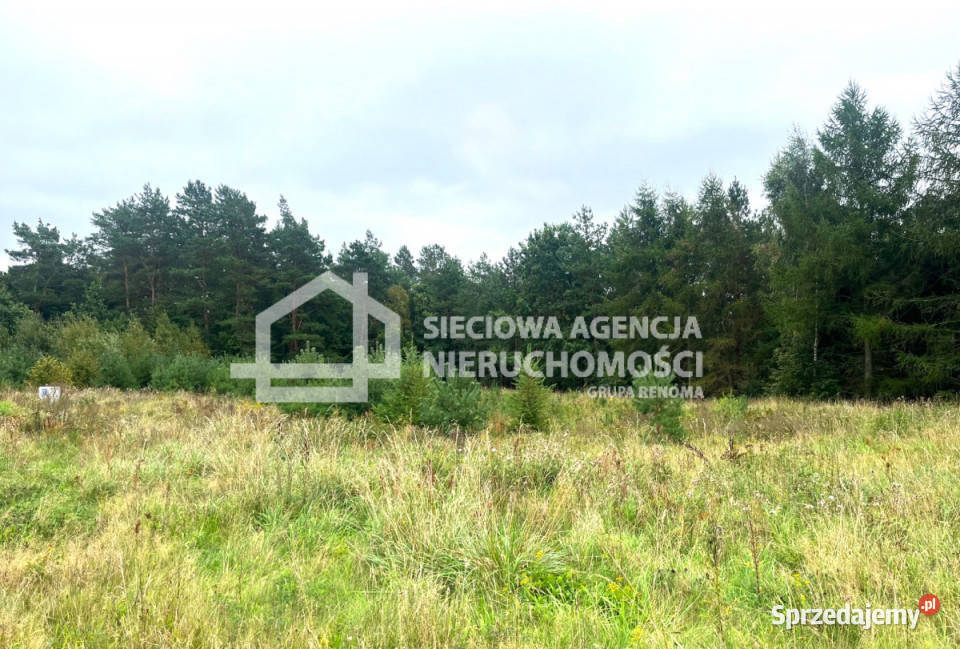 sprzedaży działki 1150m2 Przodkowo