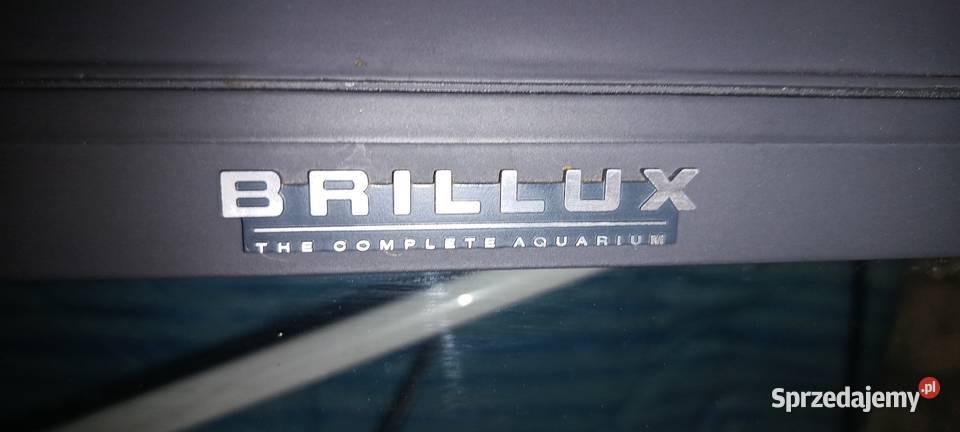 Akwarium Brillux Warszawa