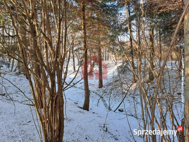 sprzedaży gruntu Żyznów 10400m2 podkarpackie sprzedam