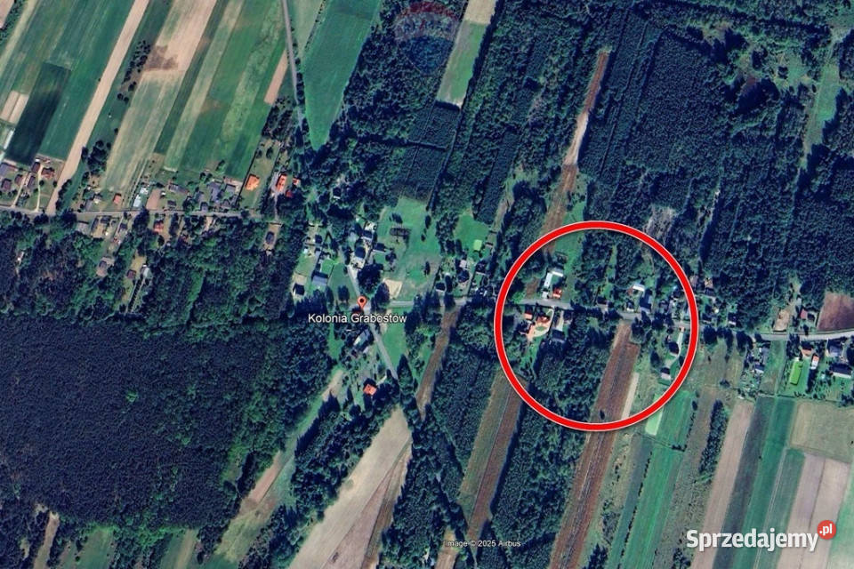 Ponad 3 ha działek z MPZP Grabostów asfalt media Sprzedaż Kolonia Grabostów