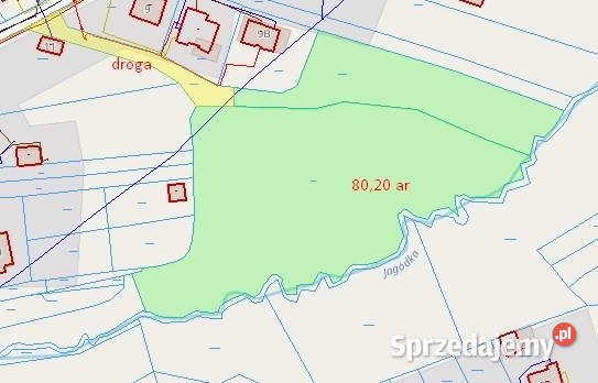 Leżajsk działka 80 ar budowlana Sprzedaż podkarpackie