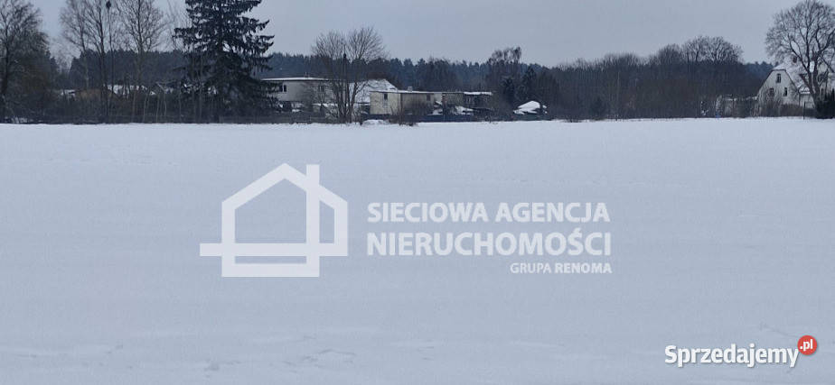 Działkę sprzedam Wielki Klincz 8800m2 gaz