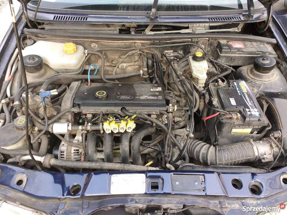 Ford Fiesta mk4 Borek Stary