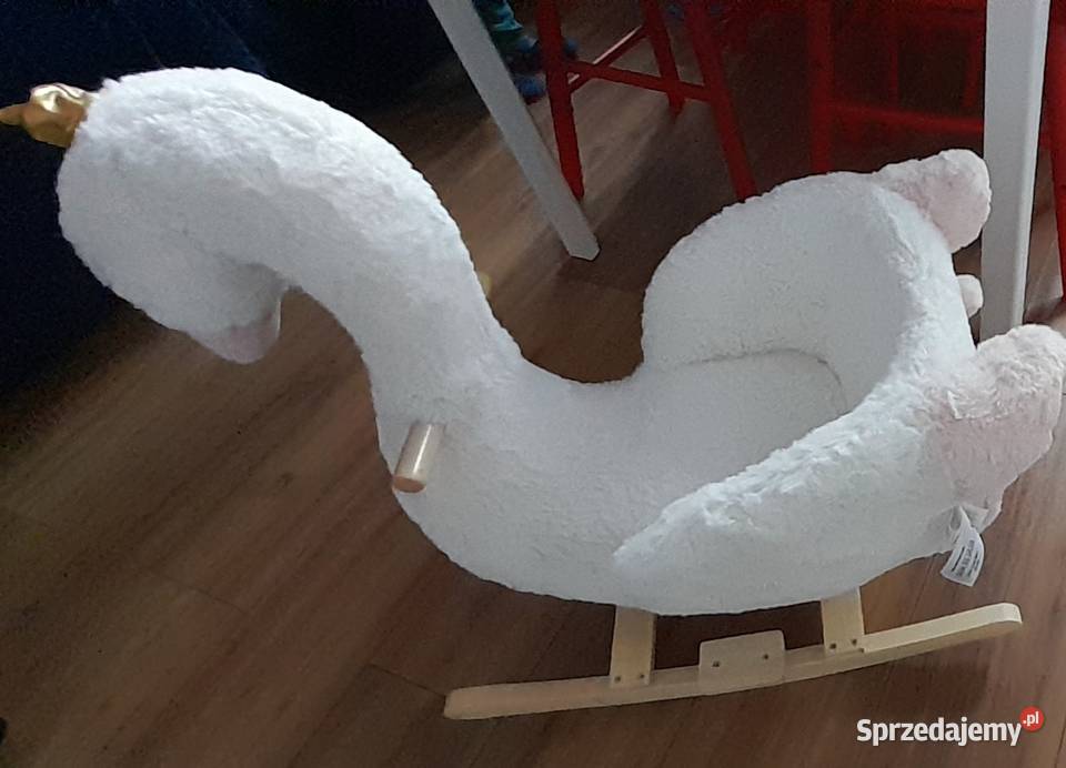 Śliczny łabędź na biegunach Szczecin