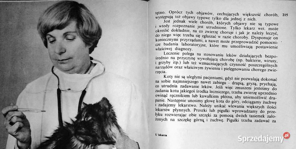 Koty nasze hobby A Konarska Szubska Chełm