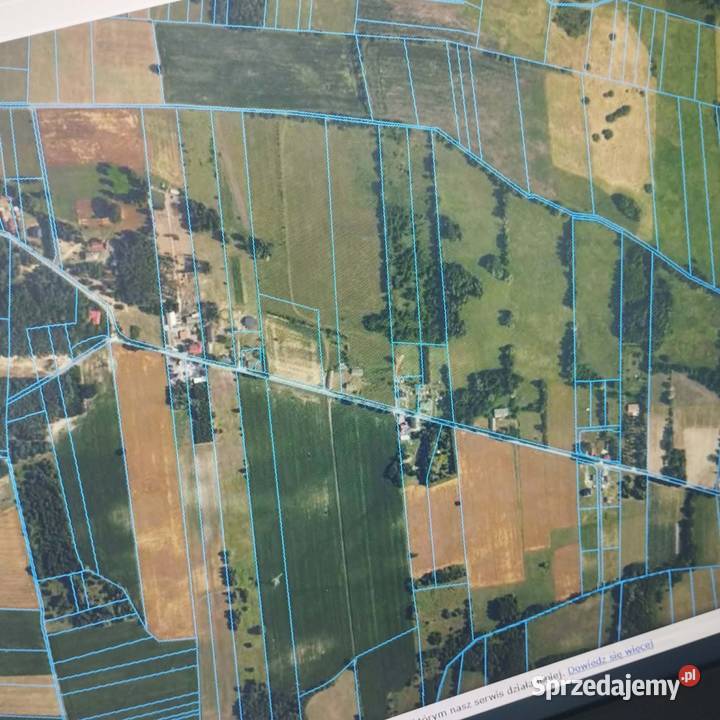 Działka 225 ha Olszowiec gm Brochów woj