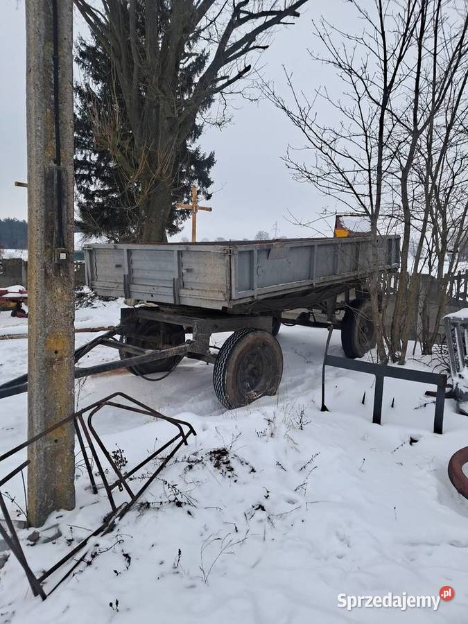 Przyczepa d47 Klonownica Mała