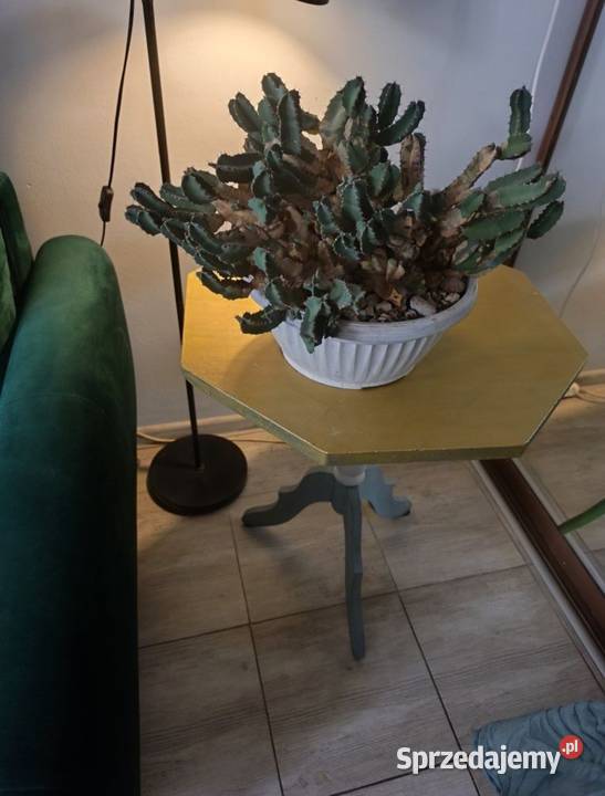 Drewniany stolik nocny kawowy Szczecin