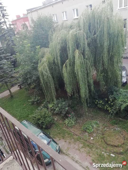 Sprzedam Mieszkanie mazowieckie Nowe Miasto nad Pilicą