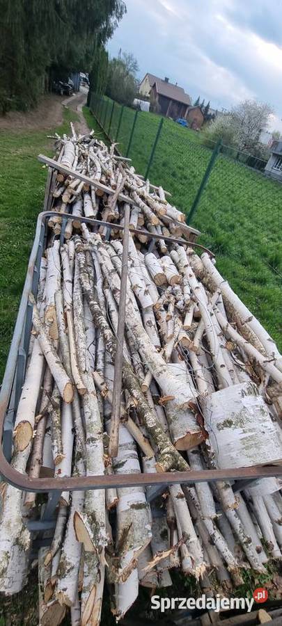 Drzewo opałowe brzoza Łańcut